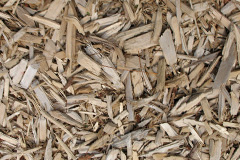 biomass boilers Frenze