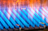 Frenze gas fired boilers